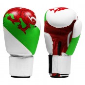 Boxing Gloves (10)